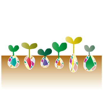 STEP4 仮画像